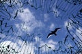 Sky viewed from shattered window glass