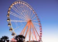 Myrtle Beach Ferris Wheel