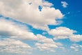 Sky and white clouds in miami, usa. Cloudscape on blue sky background. Weather and nature. Freedom and dream concept