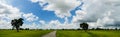 Sky with white fluffy clouds on the blue sky over the rice field