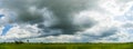 Sky with white fluffy clouds on the blue sky over the rice field