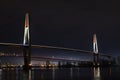 Skytrain Bridge over the Fraser River, New Westminster, BC Royalty Free Stock Photo