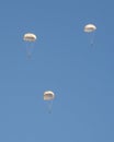 Skydiver activity sport jump on the blue sky background