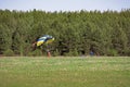 Skydiver landed in a clearing against