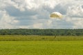 Parachutist before touchdown in a field of grass Royalty Free Stock Photo