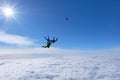 Formation skydiving. Skydivers are in the blue sky.