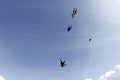 Skydivers are fast falling in the blue sky. Royalty Free Stock Photo