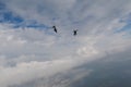 Freefly skydiving. Amazing sky. Flying people. Royalty Free Stock Photo