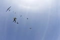 Skydivers are jumping out of a plane into blue sky. Royalty Free Stock Photo