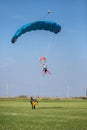 Skydivers parachutist on blue sky on sunset Royalty Free Stock Photo