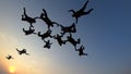 Silhouette of a group of skydivers jumping at the end of the day. Royalty Free Stock Photo