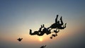 Silhouette of a group of skydivers jumping at the end of the day. Royalty Free Stock Photo