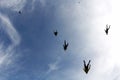 Skydiving. A flock of skydivers is in the blue sky. Royalty Free Stock Photo