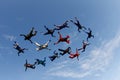Skydiving. A group of falling people is in the blue sky. Royalty Free Stock Photo