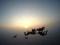 A group of skydivers perform a jump at sunset.