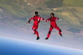 Skydiving photo. Extreme sport concept. Flying in a free fall. Royalty Free Stock Photo