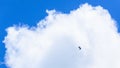 Skydiving Extreme Lifestyle High Clouds Royalty Free Stock Photo