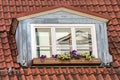 Skylight on a tiled roof of a traditional European house. There are beautiful flowers on the windowsill