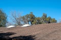 Skylights on Roof