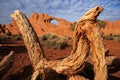 Skyline Arch at Arches National Park Royalty Free Stock Photo