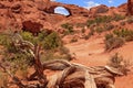 Skyline Arch Rock Canyon Arches National Park Moab Utah Royalty Free Stock Photo