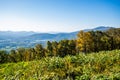 Skyline of The Blue Ridge Mountains in Virginia at Shenandoah Na Royalty Free Stock Photo