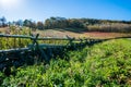 Skyline of The Blue Ridge Mountains in Virginia at Shenandoah Na Royalty Free Stock Photo