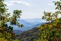 Skyline of The Blue Ridge Mountains in Virginia at Shenandoah Na Royalty Free Stock Photo