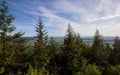 Skyline of Burlington and Mount Vernon in Washington. View from Little Mountain Park during Summer Royalty Free Stock Photo