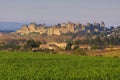 Skyline Castle of Carcassonne, France