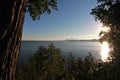 The skyline of Cleveland, Ohio behind a tree on Lake Erie- USA