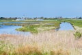 Skyline Den Hoorn Texel the Netherlands Royalty Free Stock Photo