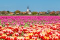 Skyline Den Hoorn Texel the Netherlands Royalty Free Stock Photo