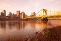 Skyline of downtown with Andy Warhol Bridge over the Allegheny River, Pittsburgh Royalty Free Stock Photo