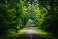 Skyline Drive, in a dense forested area of Shenandoah National P Royalty Free Stock Photo