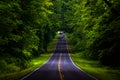 Skyline Drive in a heavily shaded forest area of Shenandoah National Park Royalty Free Stock Photo