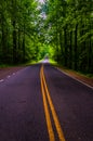 Skyline Drive in a heavily shaded forest area of Shenandoah National Park Royalty Free Stock Photo