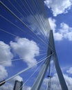 Skyline Erasmus bridge Rotterdam Royalty Free Stock Photo