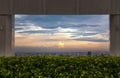 Skyline framed from beautiful cityscape before the sunset