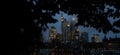 skyline of frankfurt am main germany in the evening panorama Royalty Free Stock Photo