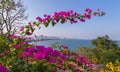 Skyline of Hua Hin from Khao Takiab Temple