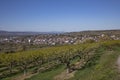 Skyline of Ingelheim with famous church and castle Royalty Free Stock Photo