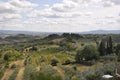 Skyline Landscape with Vineyard an Olive orchards of Medieval San Gimignano hilltop town. Tuscany region. Italy Royalty Free Stock Photo