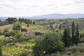 Skyline Landscape with Vineyard an Olive orchards of Medieval San Gimignano hilltop town. Tuscany region. Italy Royalty Free Stock Photo