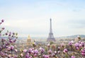 Skyline of Paris with eiffel tower Royalty Free Stock Photo