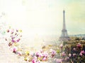 Skyline of Paris with eiffel tower Royalty Free Stock Photo