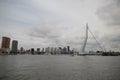 skyline of river Nieuwe maas in the middle of Rotterdam with the Erasmusbrug bridge with nickname the Swan