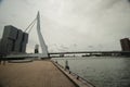 skyline of river Nieuwe maas in the middle of Rotterdam with the Erasmusbrug bridge with nickname the Swan