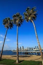 Skyline of San Diego and Palm Trees Royalty Free Stock Photo