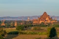 Skyline of temples in Bagan, Myanmar. Dhammayangyi Templ